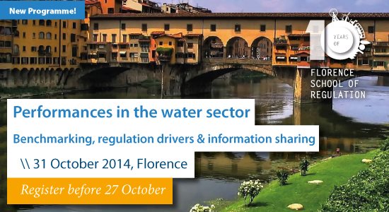Performances in the Water Sector: a roundtable for local regulation