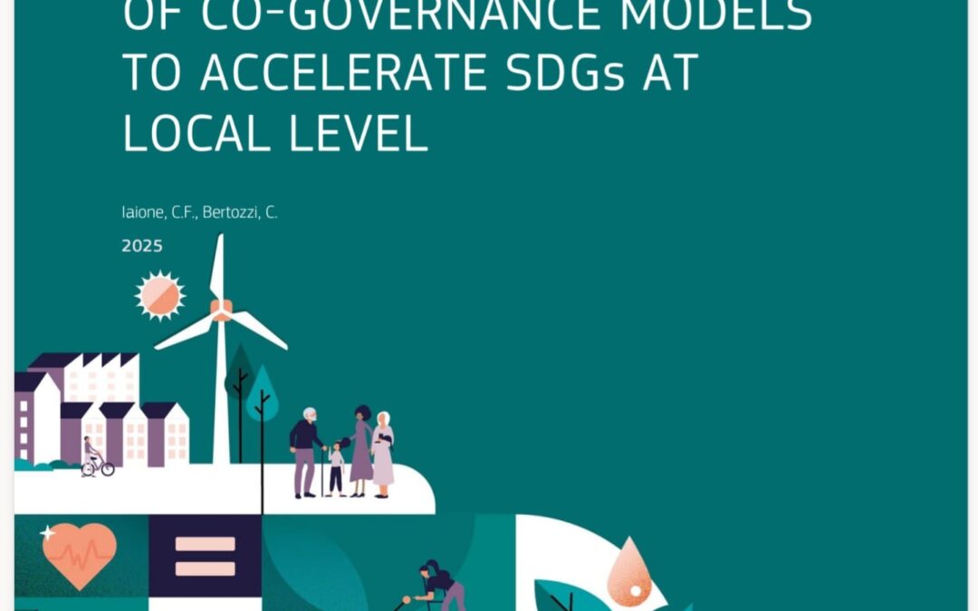 New Publication: Exploring the potential of co-governance models to accelerate SDGs at the local level