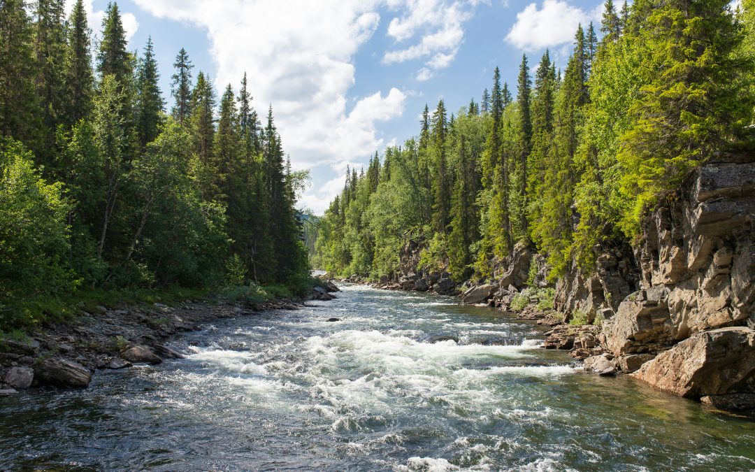 Would a common water label at the European level help countries achieve water efficiency in a cohesive way?