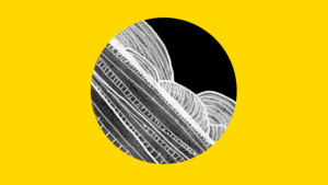 logo eutropian