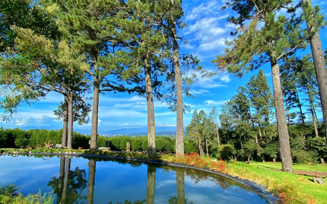 The transparency of urban commons as a civic activation tool for Alajuelita city