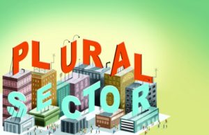 Call Me Plural Sector!